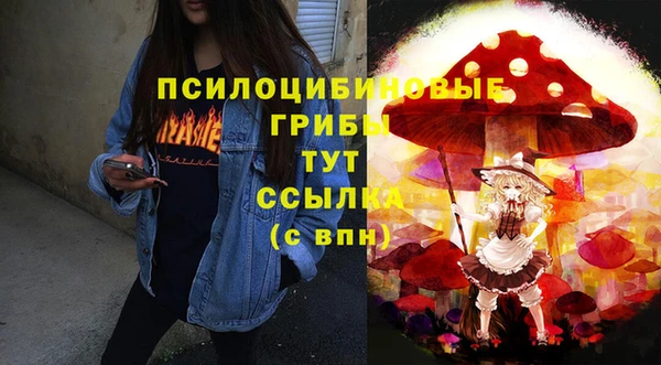 марки nbome Карпинск
