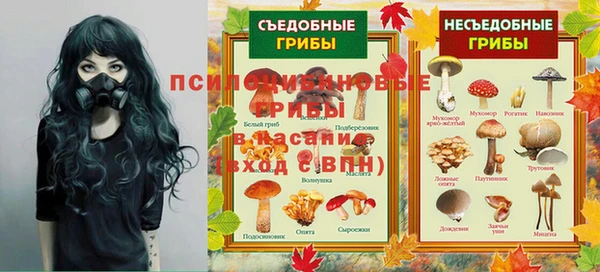 мяу мяу мука Карталы