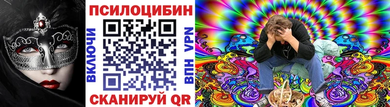 наркота  Среднеколымск  Псилоцибиновые грибы Psilocybe 